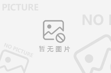 开元游戏(中国)有限公司-官网2021年发行的新增地方政府专项债券情况表